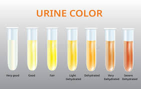 Color Chart Urine Stock Illustrations 32 Color Chart Urine