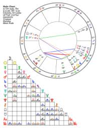 Free Birth Chart Reading Horoscopes From Zoya At Loop7 Future