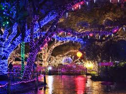 Zoo Lights At The Houston Zoo By Sandy Grimm On 500px Zoo