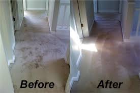 carpet cleaning servicing michigan s