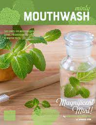 diy minty mouthwash recipe