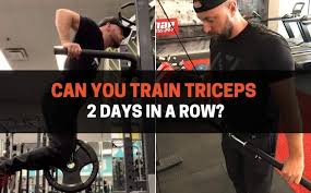 can you train triceps 2 days in a row