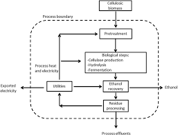 Amylase Production Flow Chart Of Amylase Production