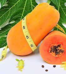Papaya Diet How Papaya Aids Weight Loss