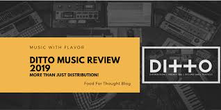 Ditto Music Review More Than Just Music Distribution