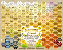 Summer Nectar Pollen Chart