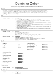 Resume Examples By Real People Psychology Intern Resume