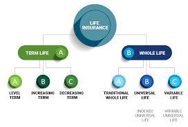 1 like most group life insurance policies, metlife group life insurance policies contain certain exclusions, limitations, exceptions, reductions of benefits, waiting periods and terms for keeping them in force. Understanding Your Life Insurance Policy Compare Policies Quotes