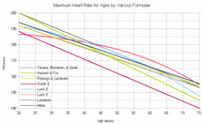 Heart Rate Wikipedia