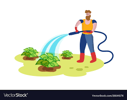 Gardener Watering Garden Bed With