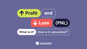 what is pnl profit and loss how to