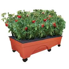 Emsco Big City Picker Raised Garden Bed