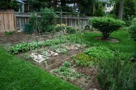 In this coronavirus crisis period, there is an obvious reason for people to. Vegetable Gardening Tips Starting Backyard Vegetable Gardening In Your Yard