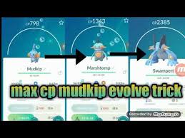 Pokemon Mudkip Evolution Chart Www Bedowntowndaytona Com