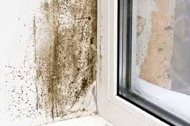 Get Rid Of Black Mould In Your Bedroom