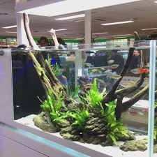 We did not find results for: Fish Tank Decor Video Gifs Funny Pets Videos Cute Pets Videos Funny Animals Videos Cute Animals Videos Funny Dogs Videos Cute Dogs Videos Funny Cats Videos Cute Cats Videos