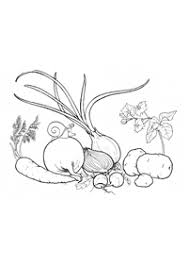 Berikut beberapa tips cara menanam sayuran organik bagi pemula untuk di pekarangan rumah. Gambar Lukisan Sayur Sayuran Cikimm Com