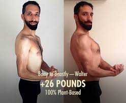 how to build muscle on a vegan plant