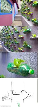 Reuse Plastic Bottles For Gardening
