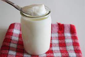 recette yaourt au lait de soja à la