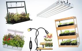 What Is The Best Led Grow Light For