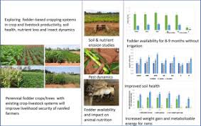 crop and livestock ivity soil