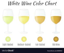 Red Wine Color Chart Royalty Free Vector Image True To Life