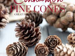 Diy Cinnamon Scented Pine Cones The