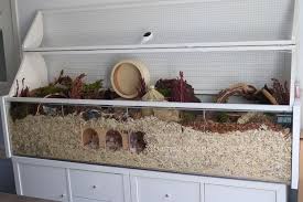 Hamster Cage Ideas For Your Hamster Setup