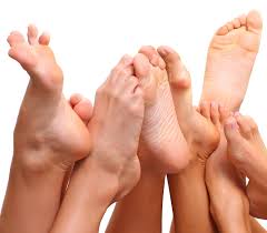 Image result for picture of toes