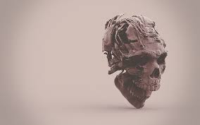 human skull ilration skeleton 3d