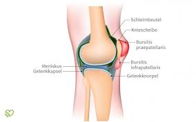 Stechen im knie ursachen behandlung hilfe medlexi de. 12 Grunde Warum Die Knie Schmerzen Onmeda De