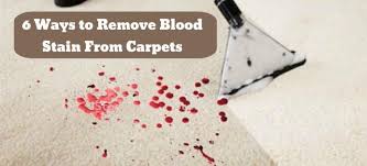 how to get blood out of carpet top 6