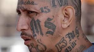 Over time, the gang grew into a more traditional criminal organization. Examining The Influence Of Ms 13 In America Wjla