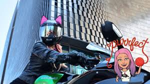Popular anime helmet motorcycle of good quality and at affordable prices you can buy on aliexpress. Cat Ear Helmet Upgrade Hands On Review