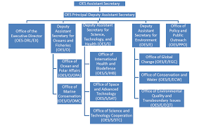 Bureau Of Consular Affairs Organizational Chart 2019