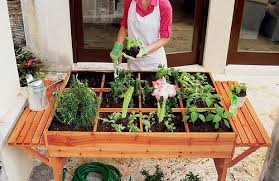 urban organic vegetable garden