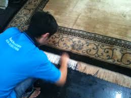 alpha kleen the carpet cleaning