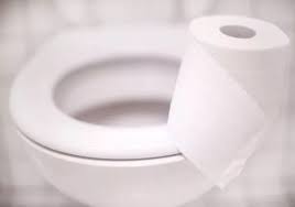 Removing Stains From Toilet Seats
