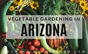 Vegetable Gardening In Arizona