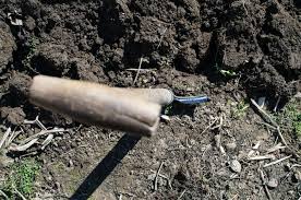 How To Improve Your Clay Soil