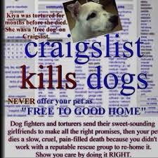 You think that it will be good to have it one and it is better if you have it for free. 110 Craigslist Animals Need Saving Too Ideas Animals Pets Animal Abuse
