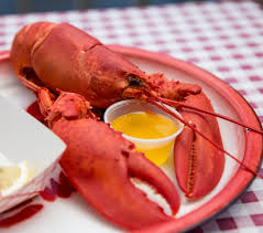 history maine lobster