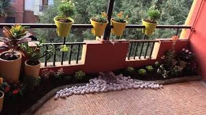 Palmer uses white pebbles as a top dressing while the green plants in the background take. 7 Diy Balcony Garden Decor Indian Balcony Garden Decoration Ideas