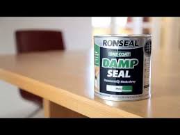 stop damp coming through your paint