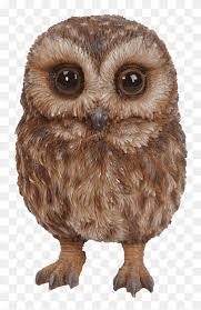 Tawny Owl Bird Of Prey Garden Ornament