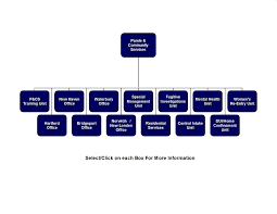Organizational Chart Pcs