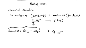 He Chemical Equation Of Photosynthesis