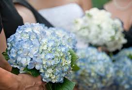 Staying within your wedding budget is no easy task. Cost Effective Wedding Flowers Wedding Flowers