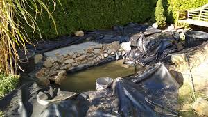 Tips On How To Build A Pond Azponds